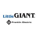 Little Giant