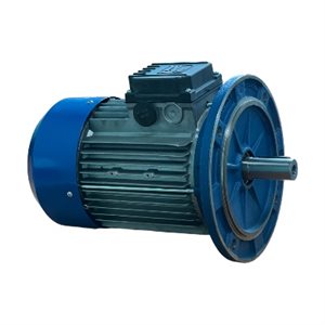 METRIC MOTOR 4 3600 575-3 100 B5 TEFC