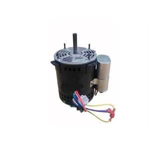 MOTOR 3 / 4 1625 115 / 230 W / CAP+PLUG BB,6251R2
